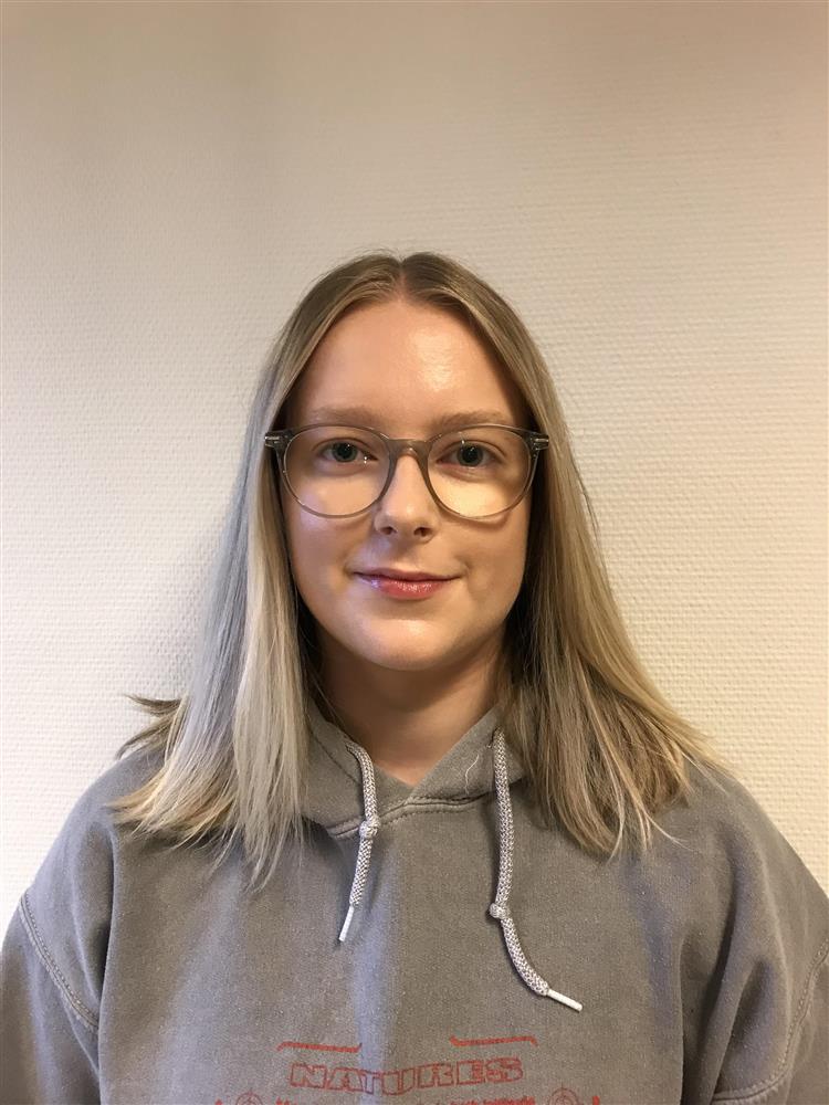 Klikk for stort bilete