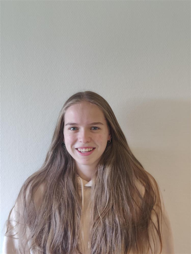 Klikk for stort bilete