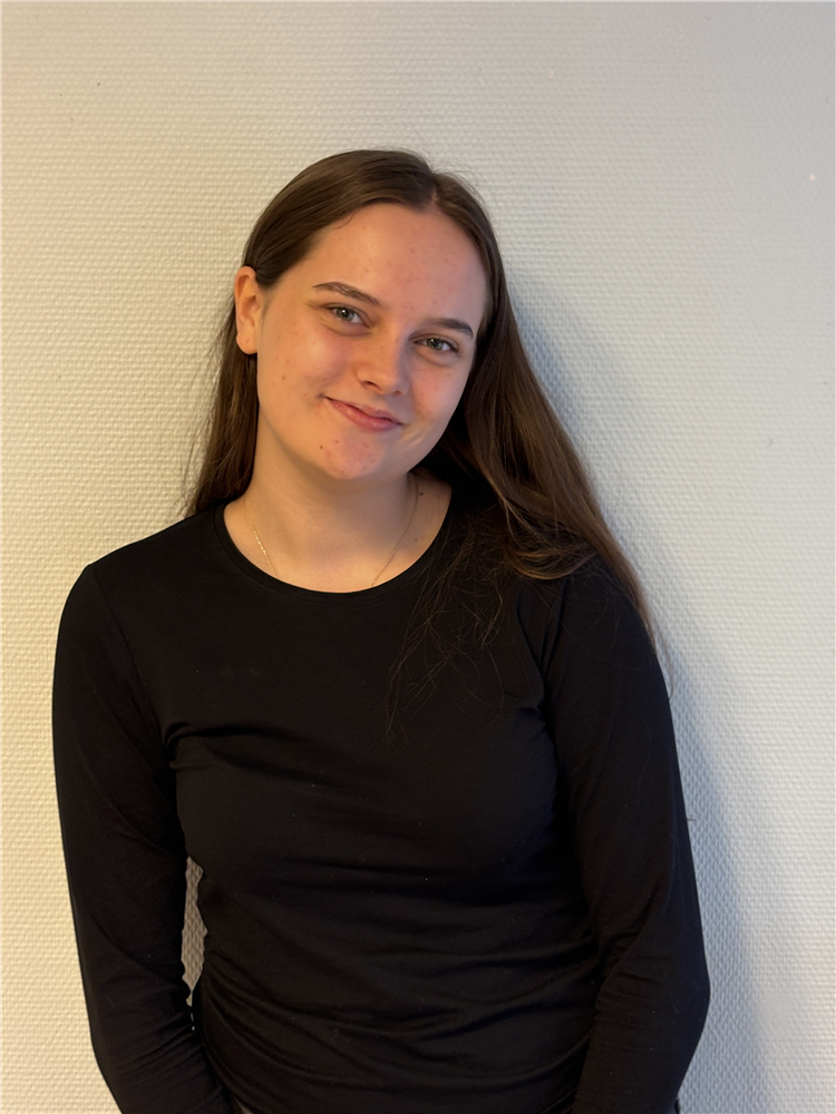 Klikk for stort bilete